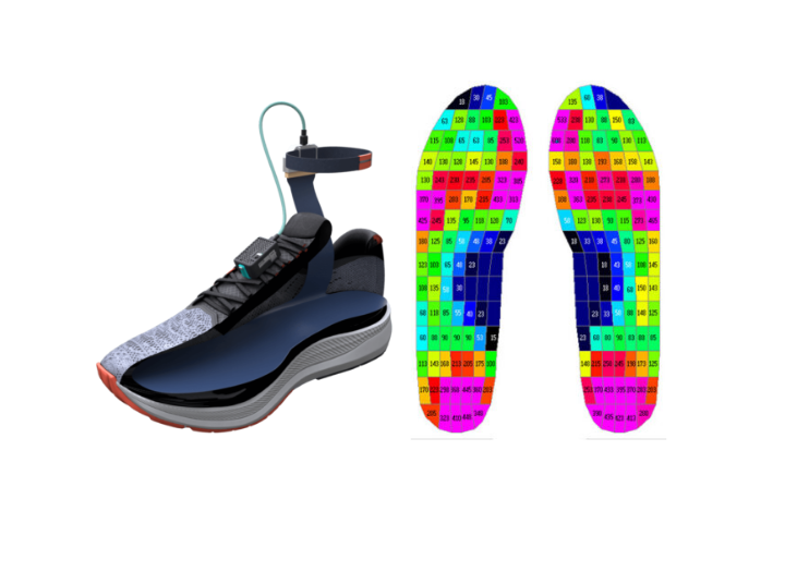 pedar In-Shoe Plantar Pressure System